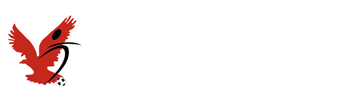 Toronto Hawks Soccer Club Logo